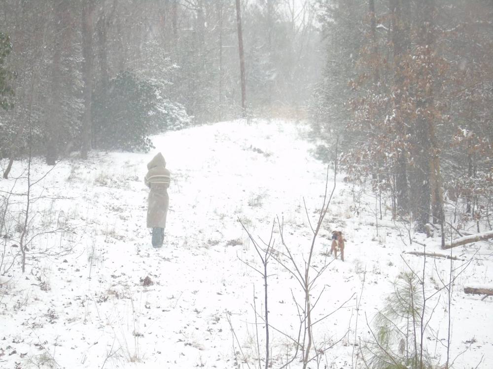 12491905_838037982971573_8921255778623090361_o