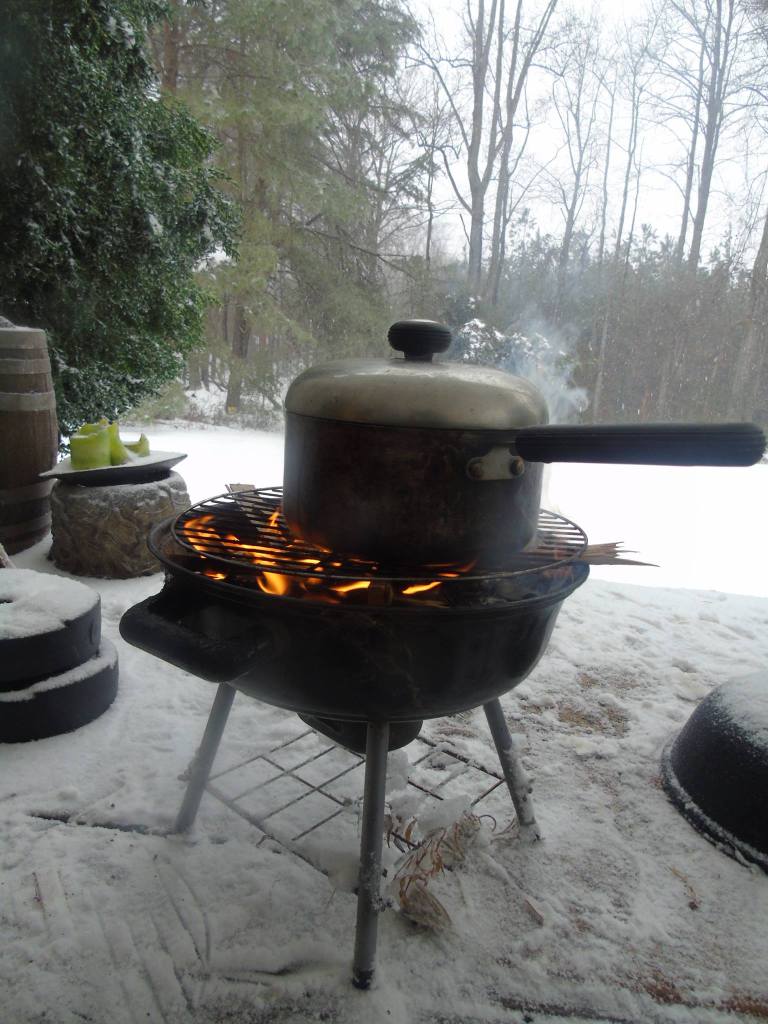 12596790_791085211036980_510487963_o