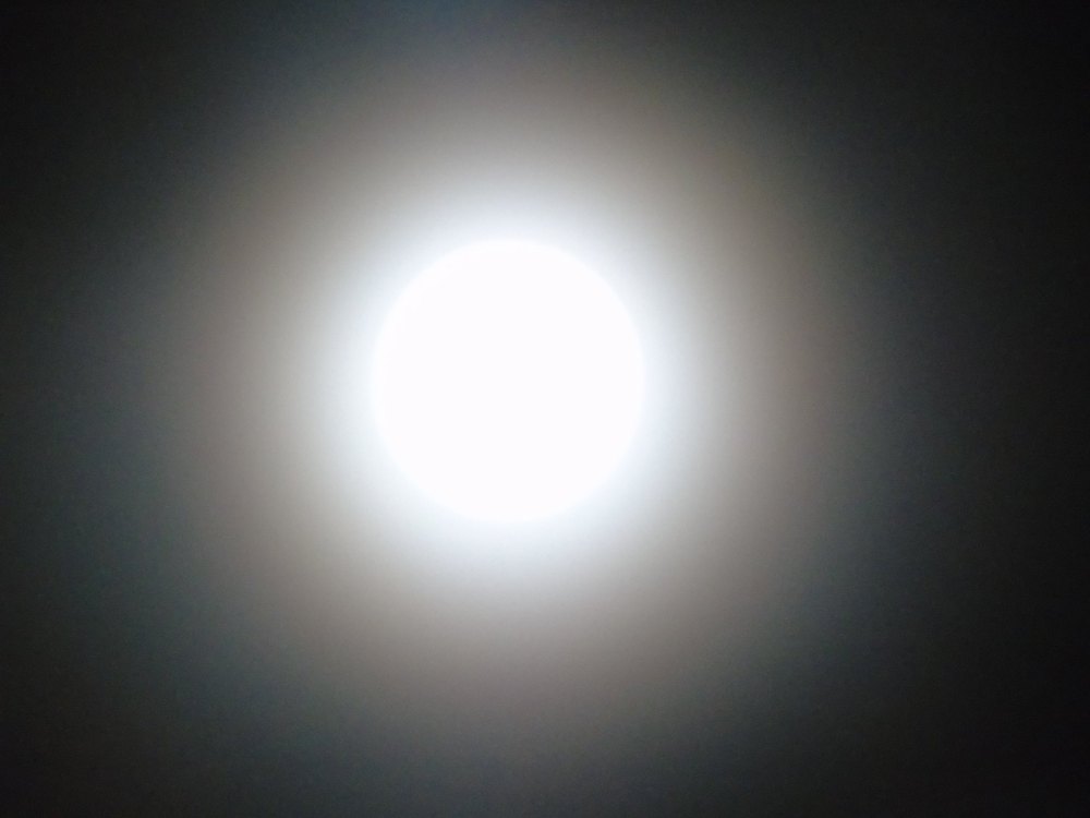 12894418_824812174330950_276814236_o